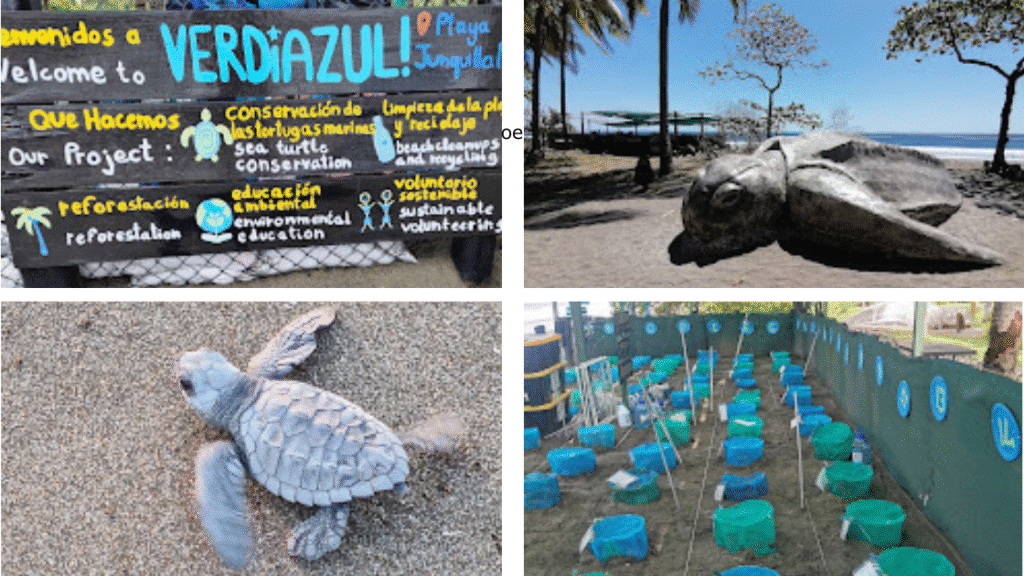 Découvrez Playa Junquillal : entre tortues, surf et tranquillité.