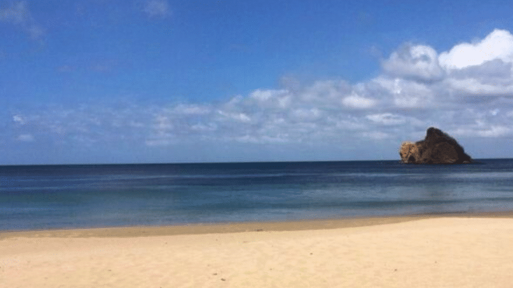 Playa Rajadita : nature sauvage et tranquillité dans le nord du Costa Rica