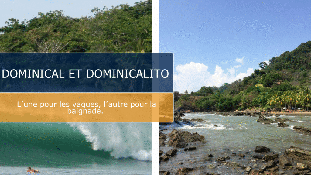Dominical et Dominicalito : une étape nature entre jungle, mer et sensations fortes