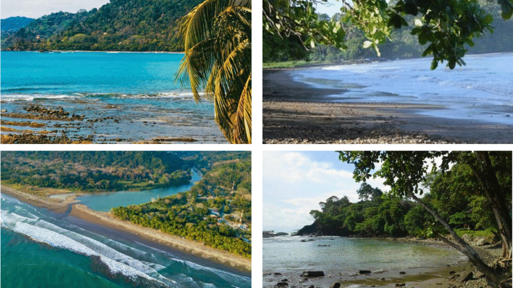 Dominical et Dominicalito : une étape nature entre jungle, mer et sensations fortes