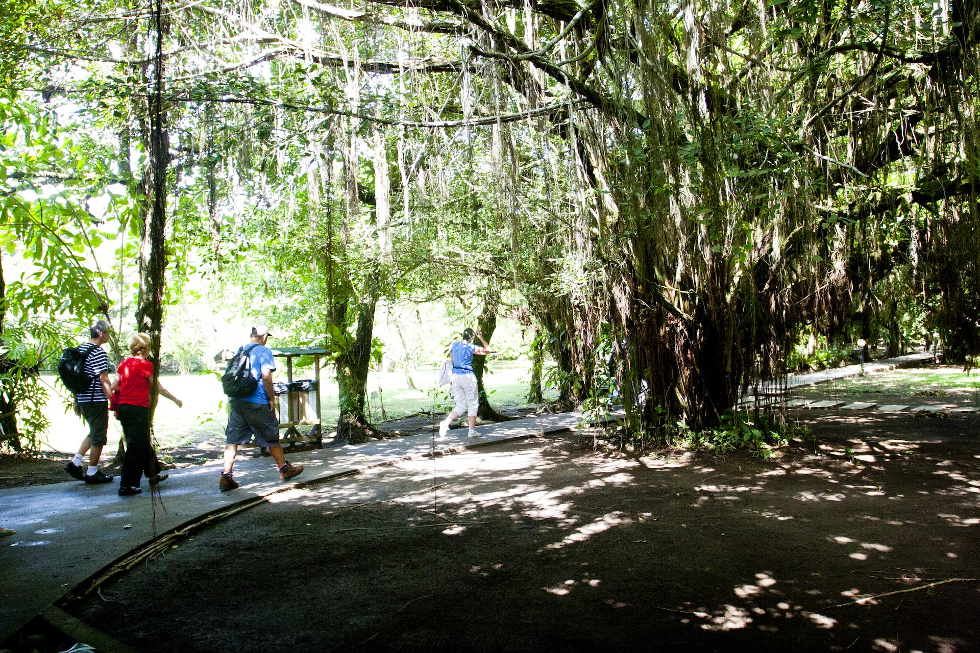 Vie sauvage du parc national de Tortuguero, Costa Rica