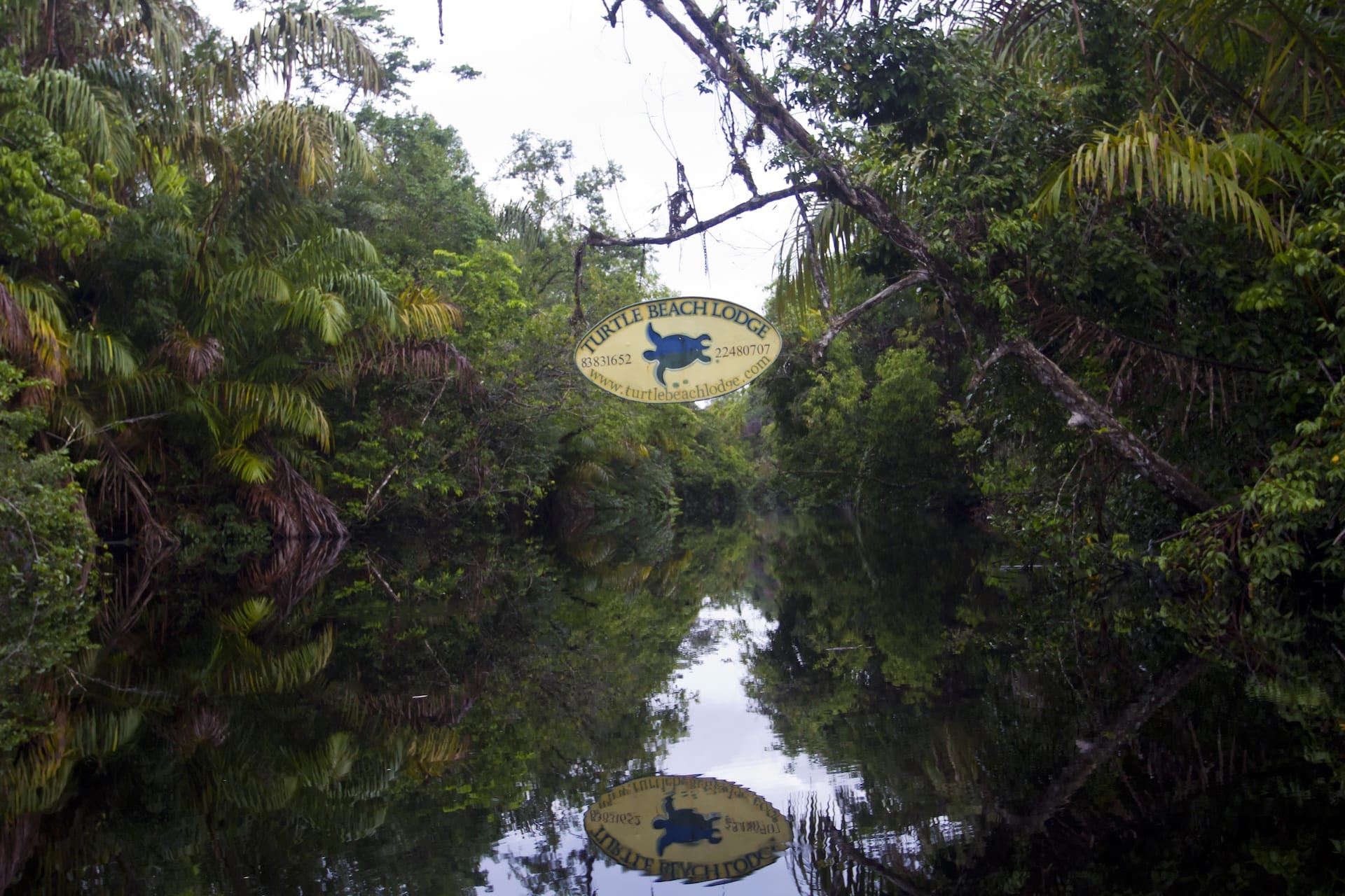 Turtle Beach Lodge Tortuguero, excursion 3 jours 2 nuits — vue 13
