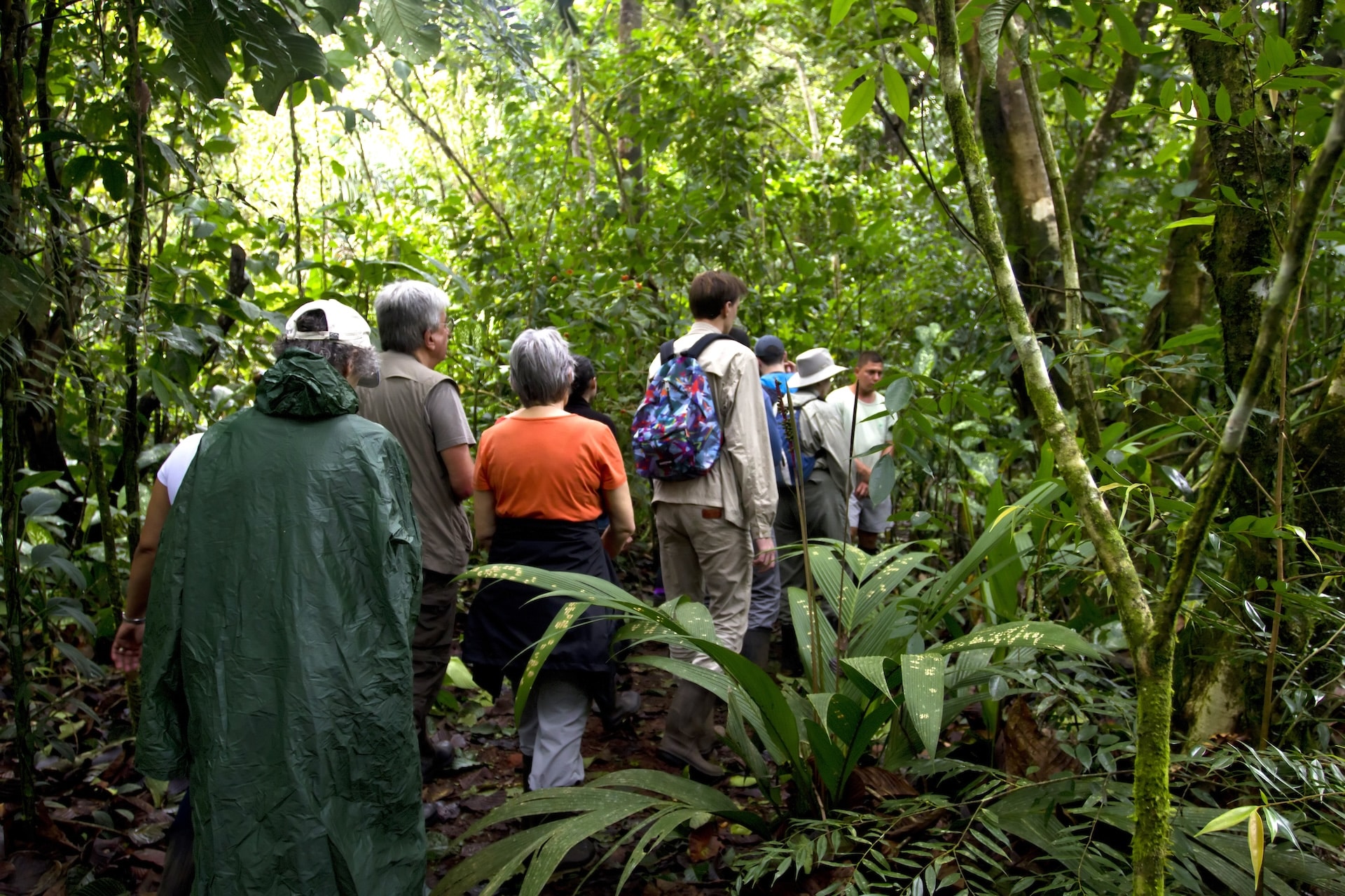 Turtle Beach Lodge Tortuguero, excursion 3 jours 2 nuits — vue 17