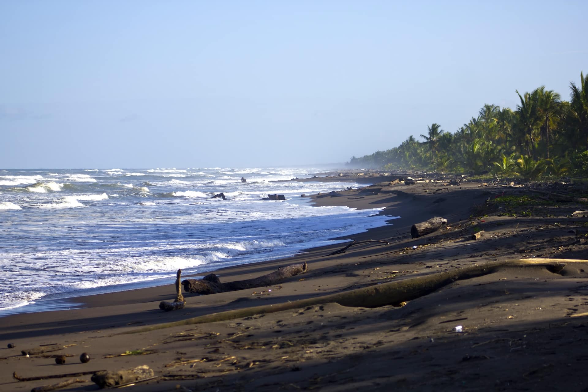 Turtle Beach Lodge Tortuguero, excursion 3 jours 2 nuits — vue 47
