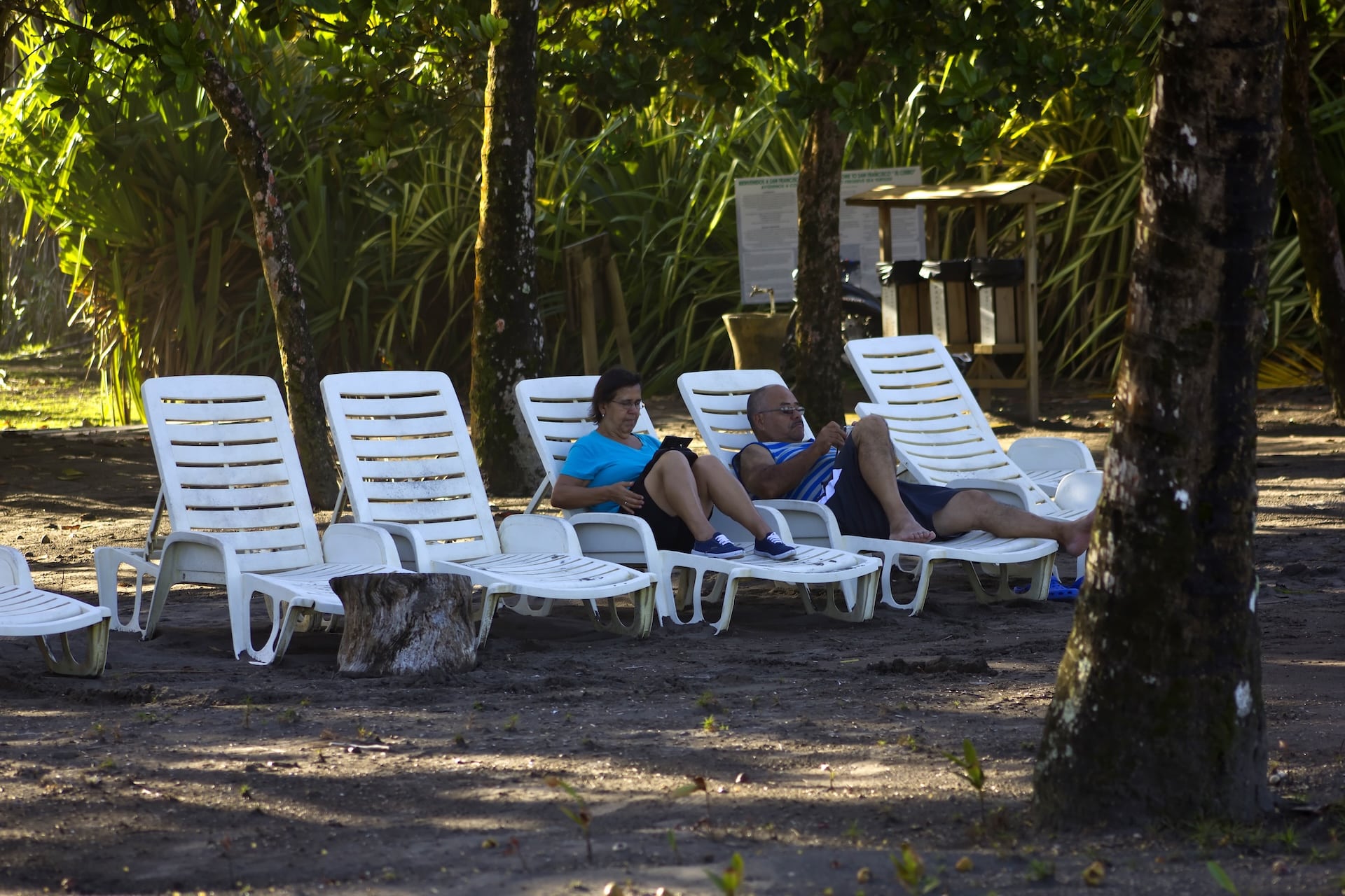 Turtle Beach Lodge Tortuguero, excursion 3 jours 2 nuits — vue 50