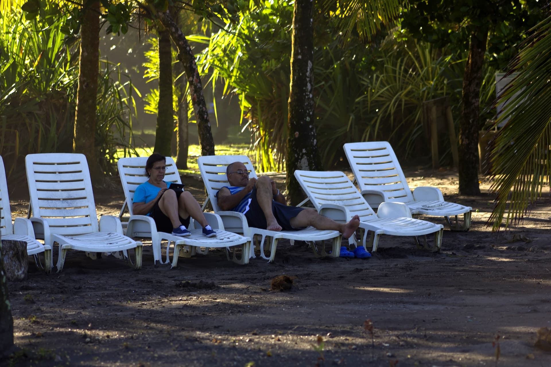Turtle Beach Lodge Tortuguero, excursion 3 jours 2 nuits — vue 52