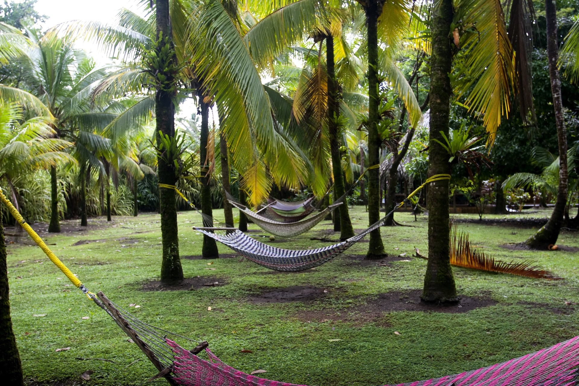 Turtle Beach Lodge Tortuguero, excursion 3 jours 2 nuits — vue 55