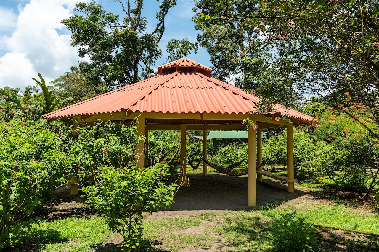 Excursion Tortuguero 3 jours 2 nuits — vue 17