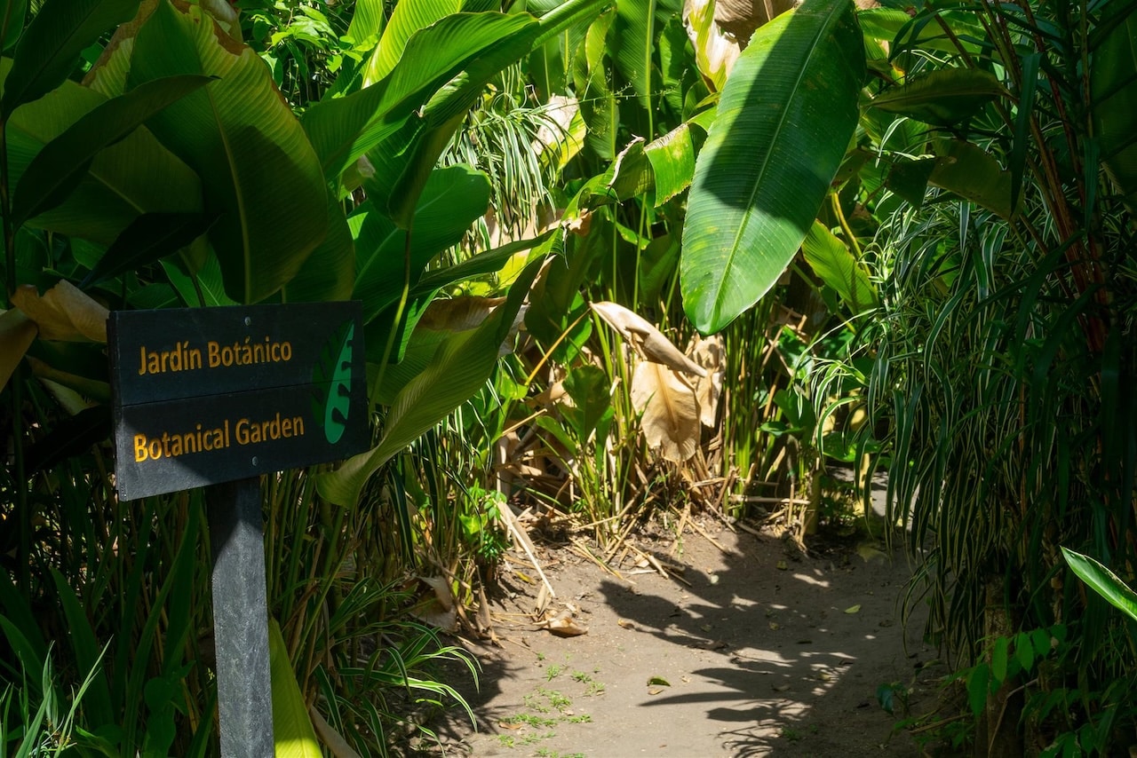 Excursion Tortuguero 3 jours 2 nuits — vue 24
