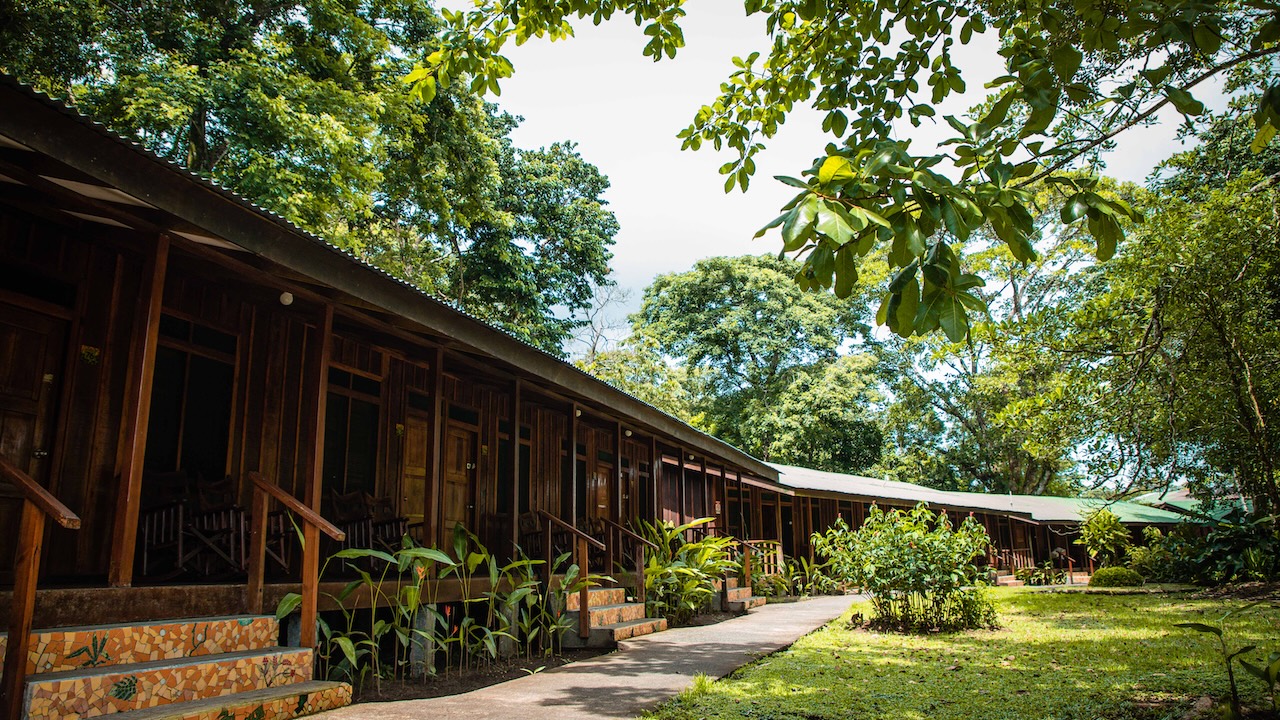 Vie sauvage du parc national de Tortuguero, Costa Rica