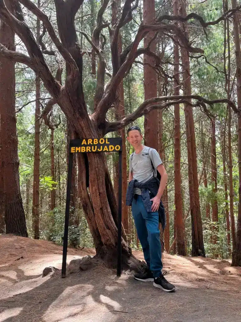 Vincent Varenne devant l'Árbol Embrujado, secteur Prusia du parc national Volcán Irazú