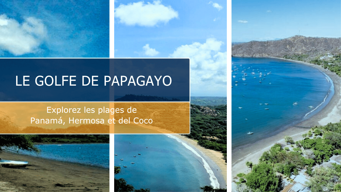 Une journée dans le Golfe de Papagayo : explorez les plages de Panamá, Hermosa et del Coco