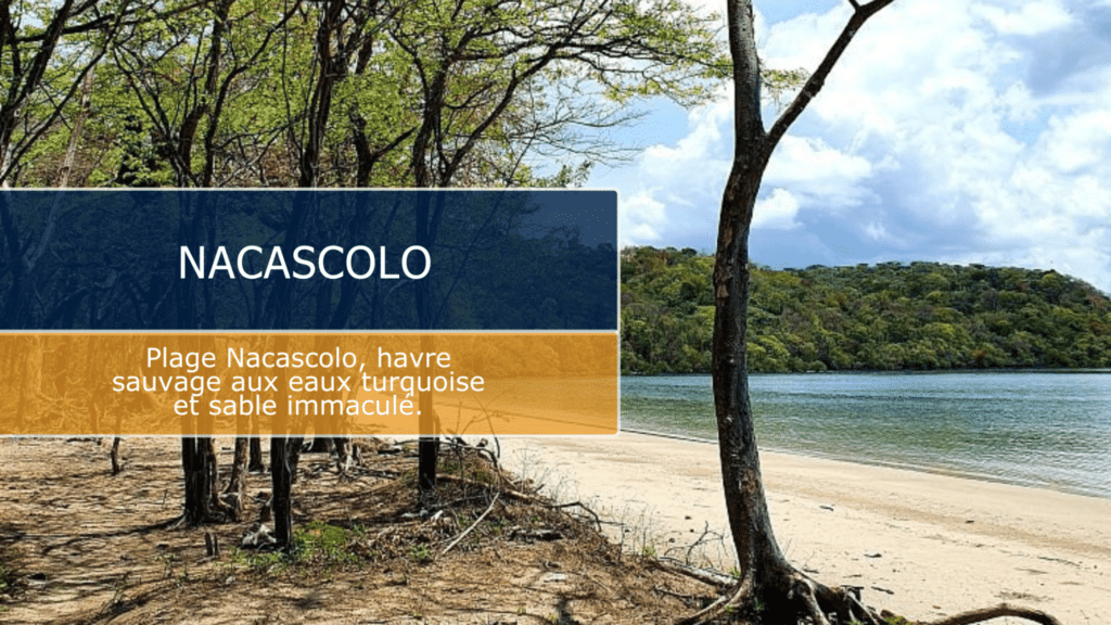 Nacascolo : Une plage sauvage et préservée à explorer absolument