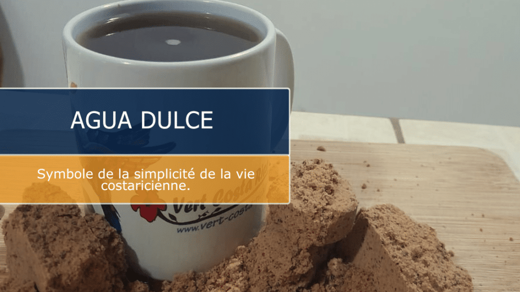 Agua Dulce :  Pourquoi est-elle essentielle au Costa Rica ?