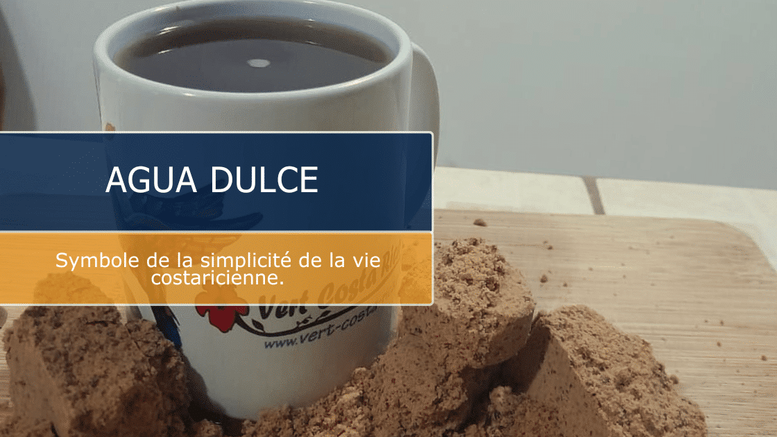 Agua Dulce :  Pourquoi est-elle essentielle au Costa Rica ?