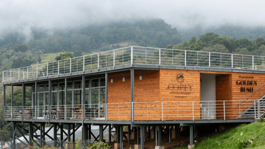 Les vins au Costa Rica : une expérience œnologique sensationnelle