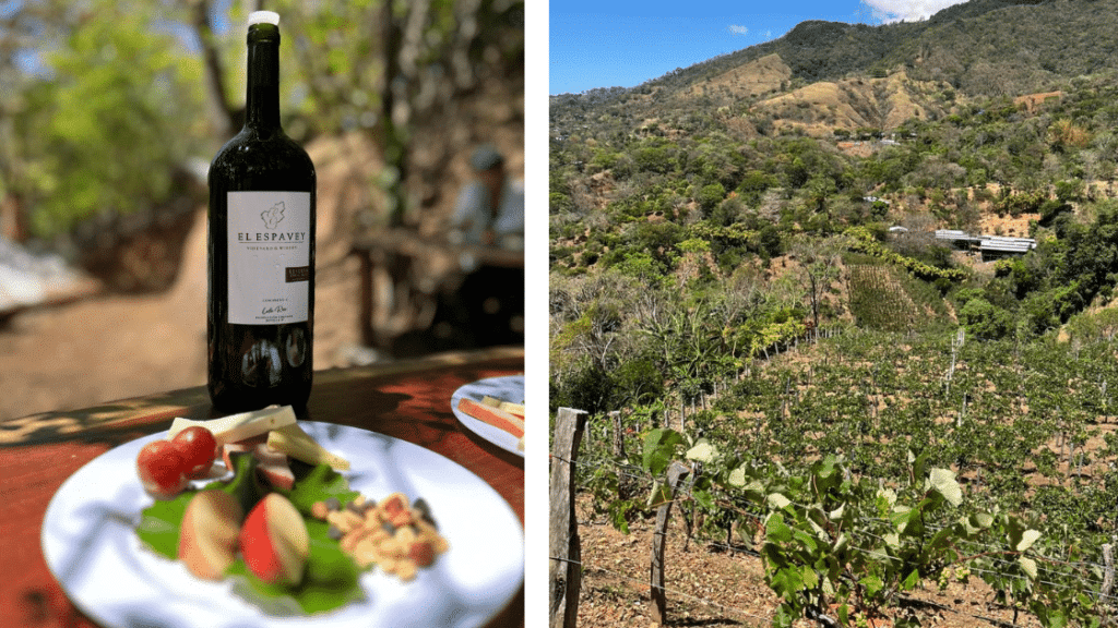 Les vins au Costa Rica : une expérience œnologique sensationnelle