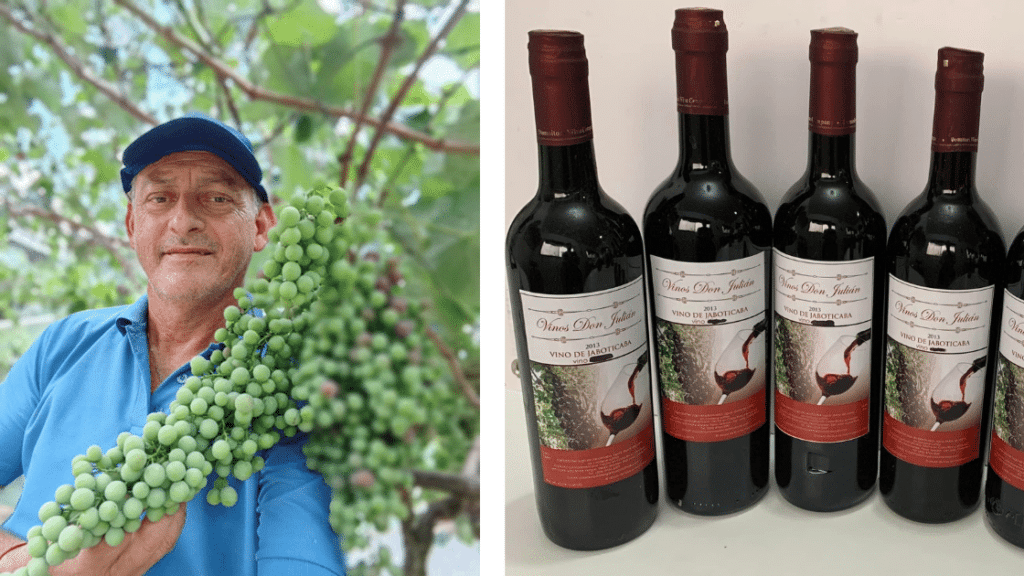 Les vins au Costa Rica : une expérience œnologique sensationnelle