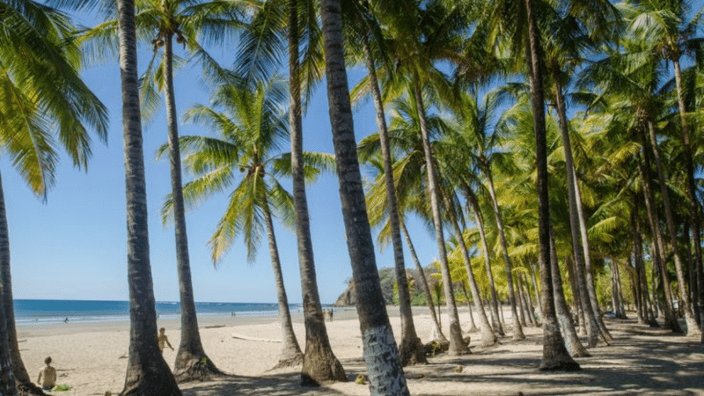 Sámara Costa Rica : Le Guide Ultime pour un Séjour Inoubliable