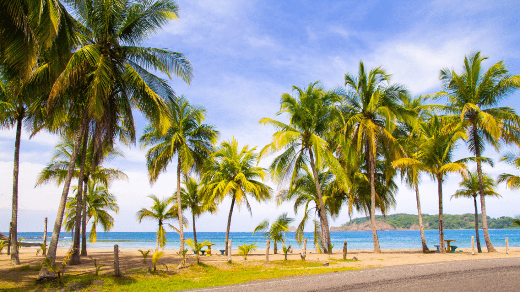 Sámara Costa Rica : Le Guide Ultime pour un Séjour Inoubliable