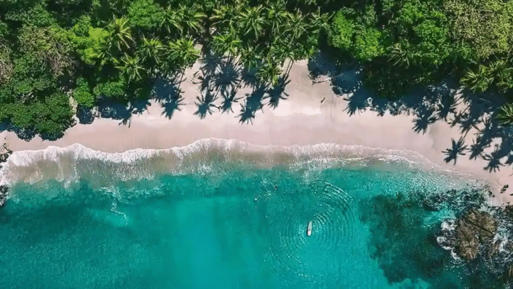 Santa Teresa : Le Paradis Caché du Costa Rica à Ne Pas Manquer