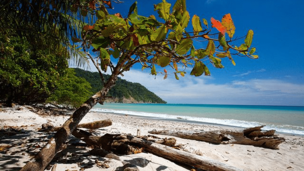 Santa Teresa : Le Paradis Caché du Costa Rica à Ne Pas Manquer