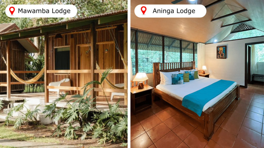Tortuguero : guide complet pour une immersion dans la nature