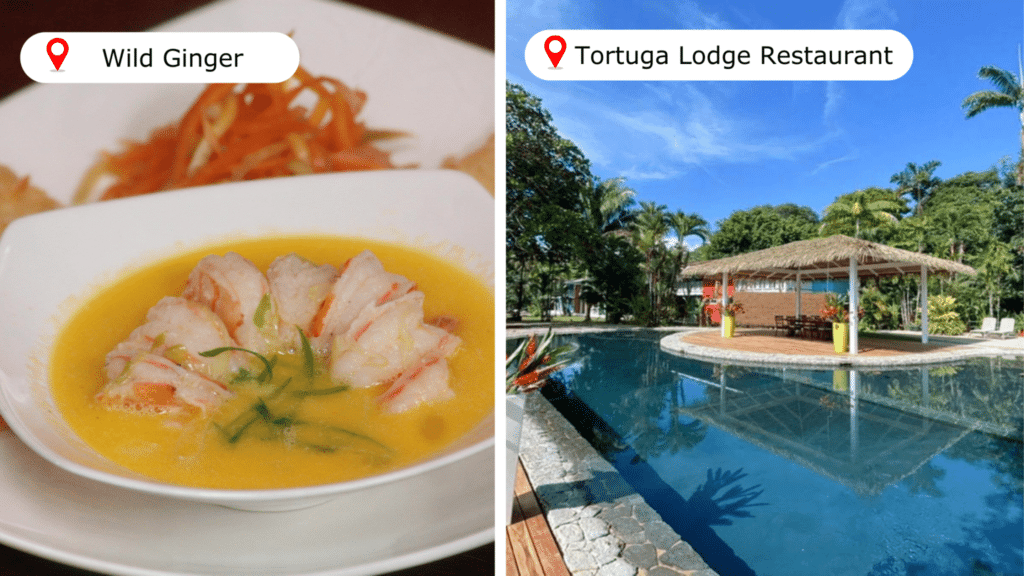 Tortuguero : guide complet pour une immersion dans la nature