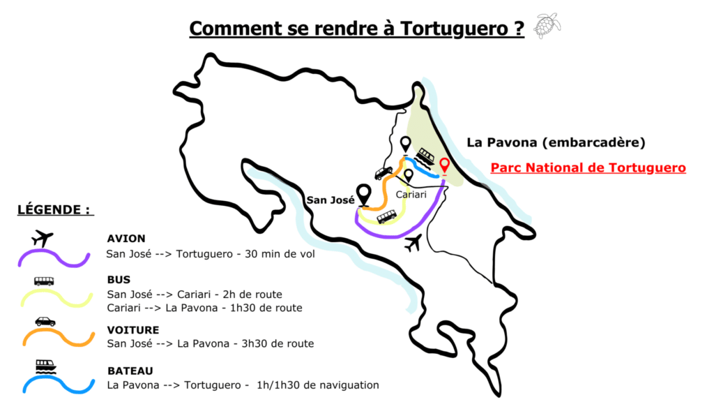 Tortuguero : guide complet pour une immersion dans la nature