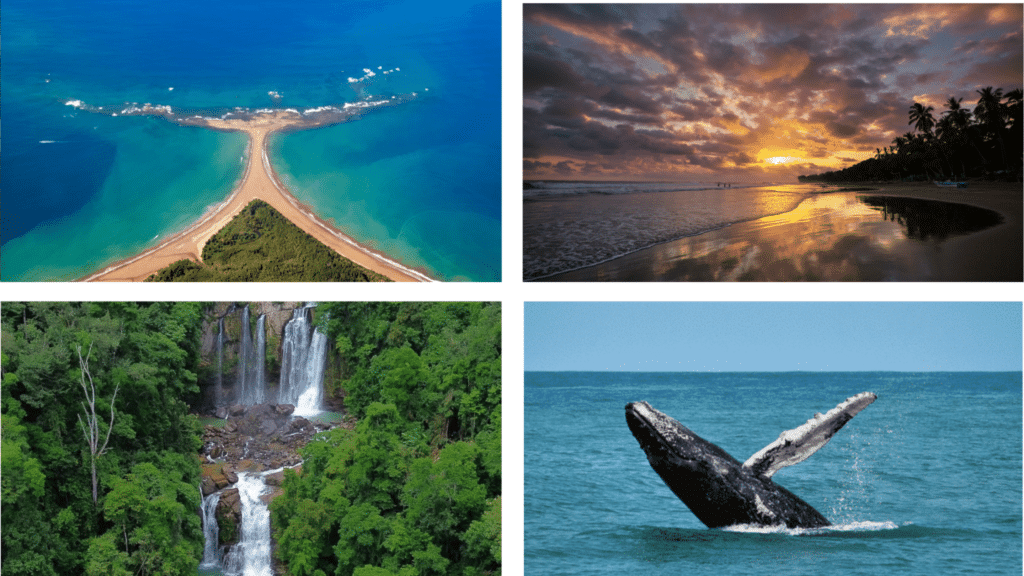 Uvita : guide complet pour explorer ce paradis caché