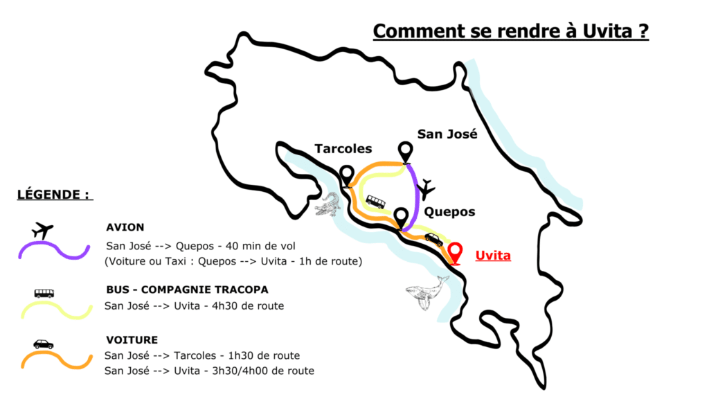 Uvita : guide complet pour explorer ce paradis caché