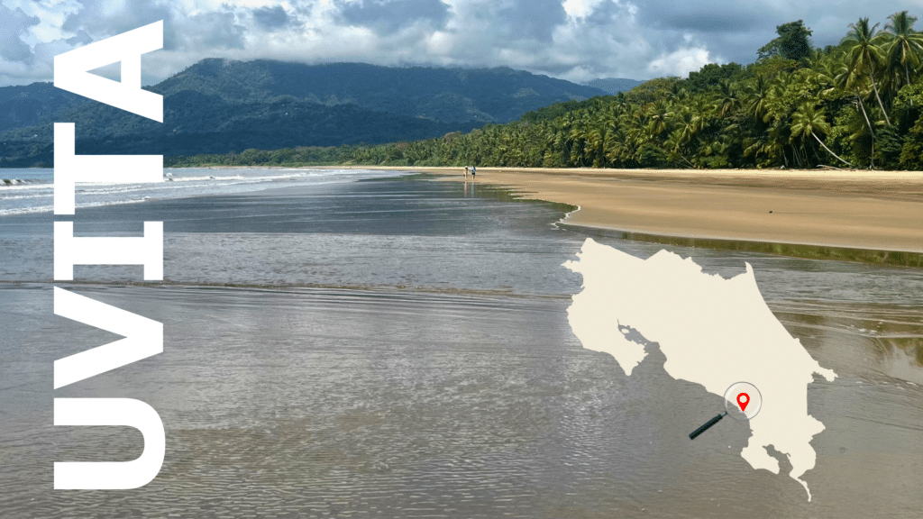 Uvita : guide complet pour explorer ce paradis caché