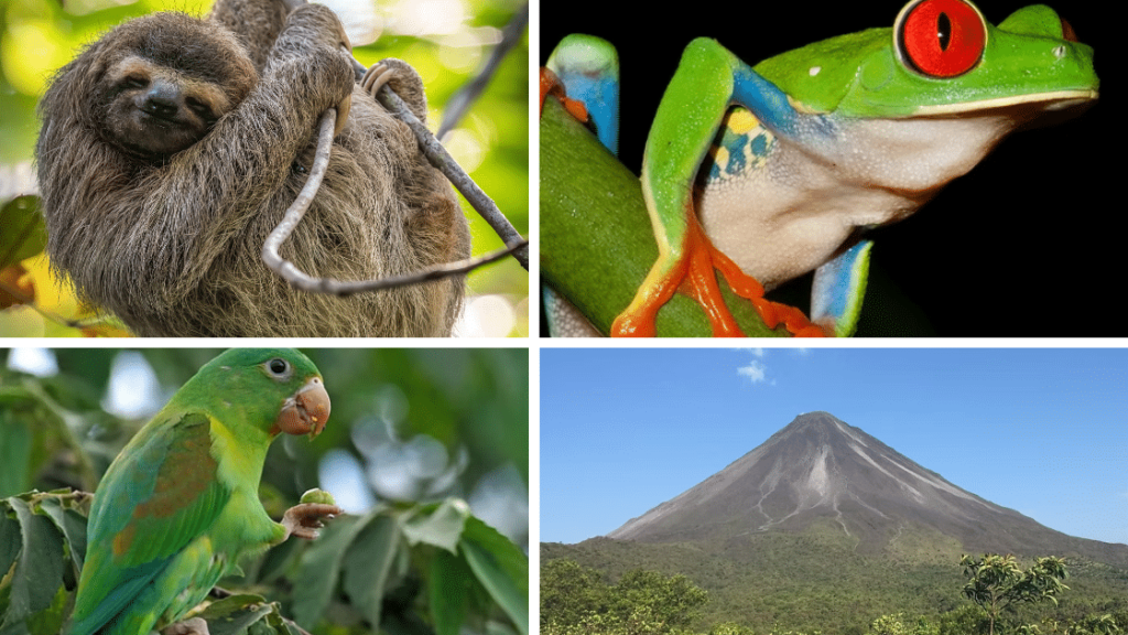 Arenal et La Fortuna : Au Cœur du Costa Rica Sauvage et Volcanique