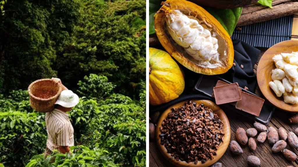 Arenal et La Fortuna : Au Cœur du Costa Rica Sauvage et Volcanique