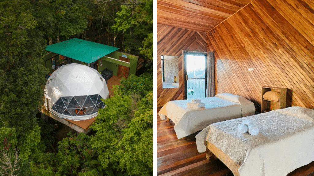 Monteverde et Santa Elena : l'incontournable forêt de nuages du Costa Rica