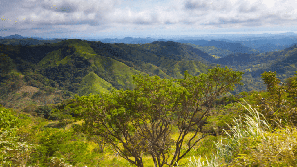 Monteverde et Santa Elena : l'incontournable forêt de nuages du Costa Rica
