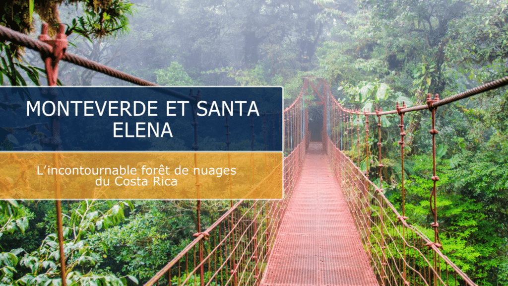 Monteverde et Santa Elena : l'incontournable forêt de nuages du Costa Rica