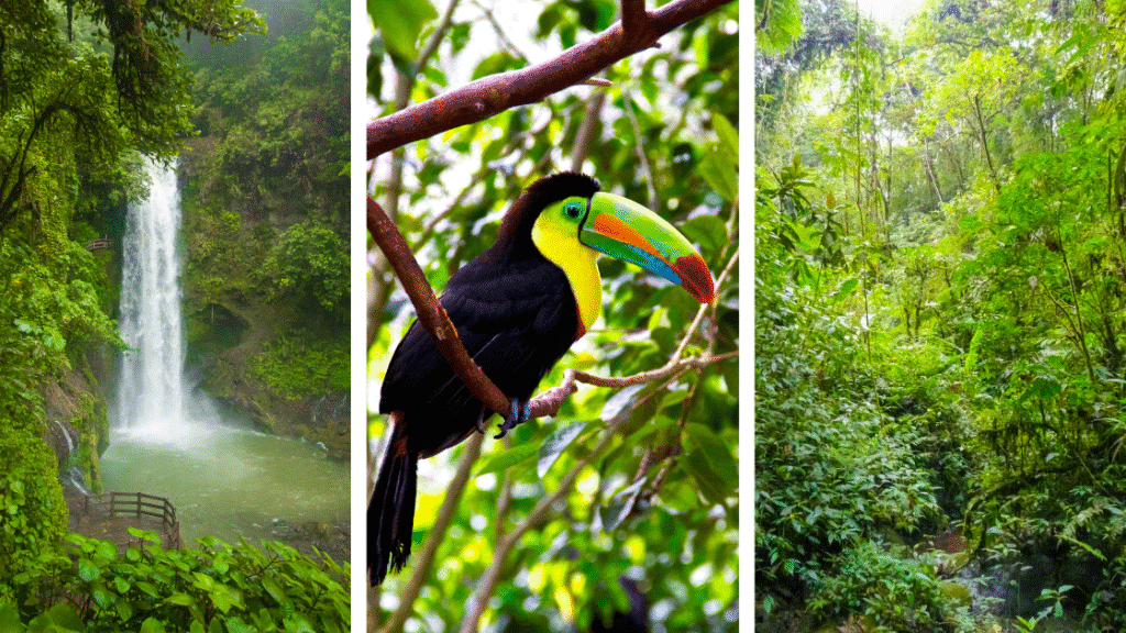 Que faire à Alajuela ? Conseils et bonnes adresses pour bien commencer votre voyage