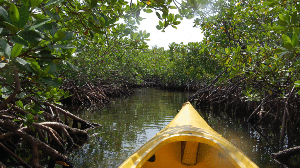 Drake Bay : le guide pratique pour découvrir ce coin sauvage du Costa Rica