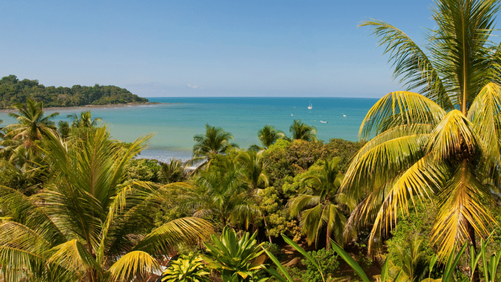 Drake Bay : le guide pratique pour découvrir ce coin sauvage du Costa Rica