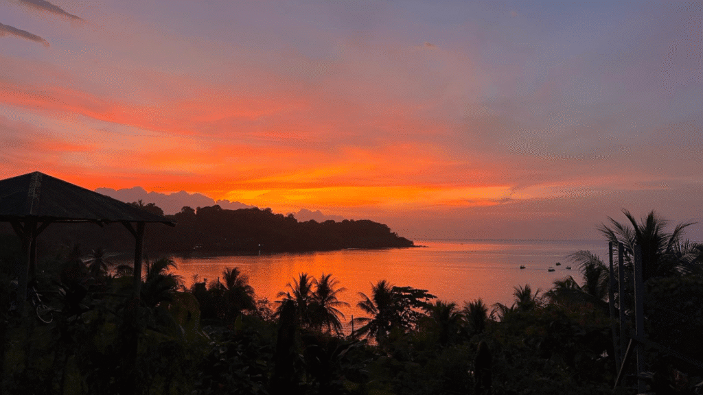 Drake Bay : le guide pratique pour découvrir ce coin sauvage du Costa Rica
