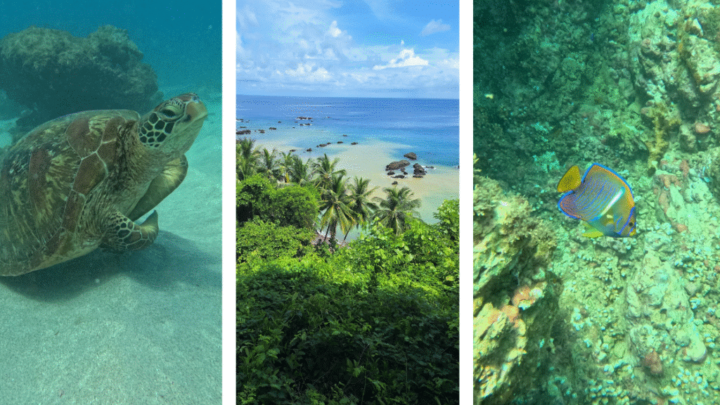 Drake Bay : le guide pratique pour découvrir ce coin sauvage du Costa Rica