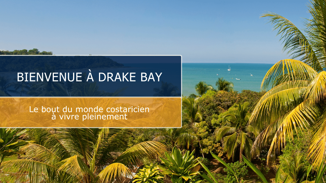 Drake Bay : le guide pratique pour découvrir ce coin sauvage du Costa Rica