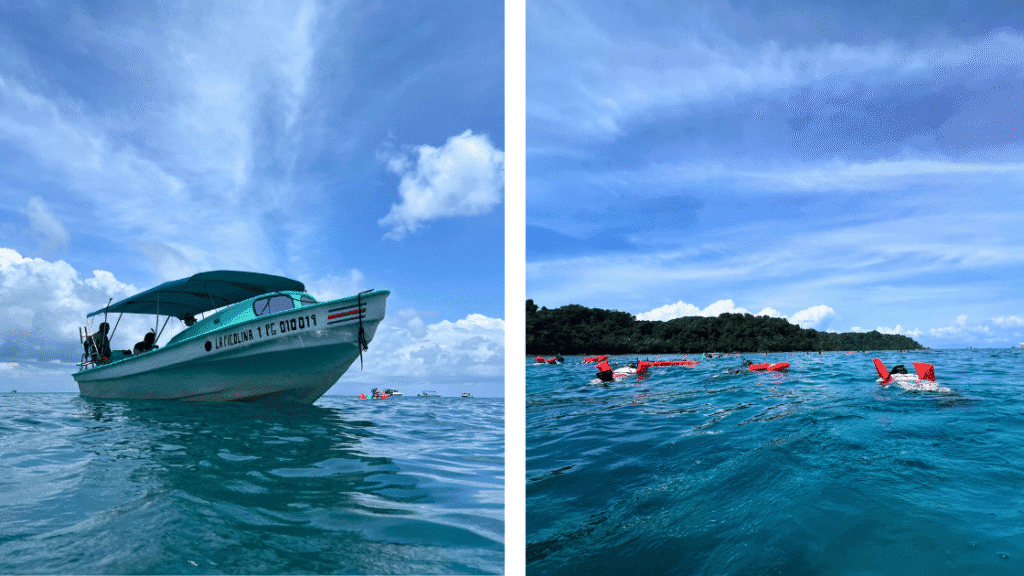 Plongée à Isla del Caño : mon incroyable excursion depuis Drake Bay