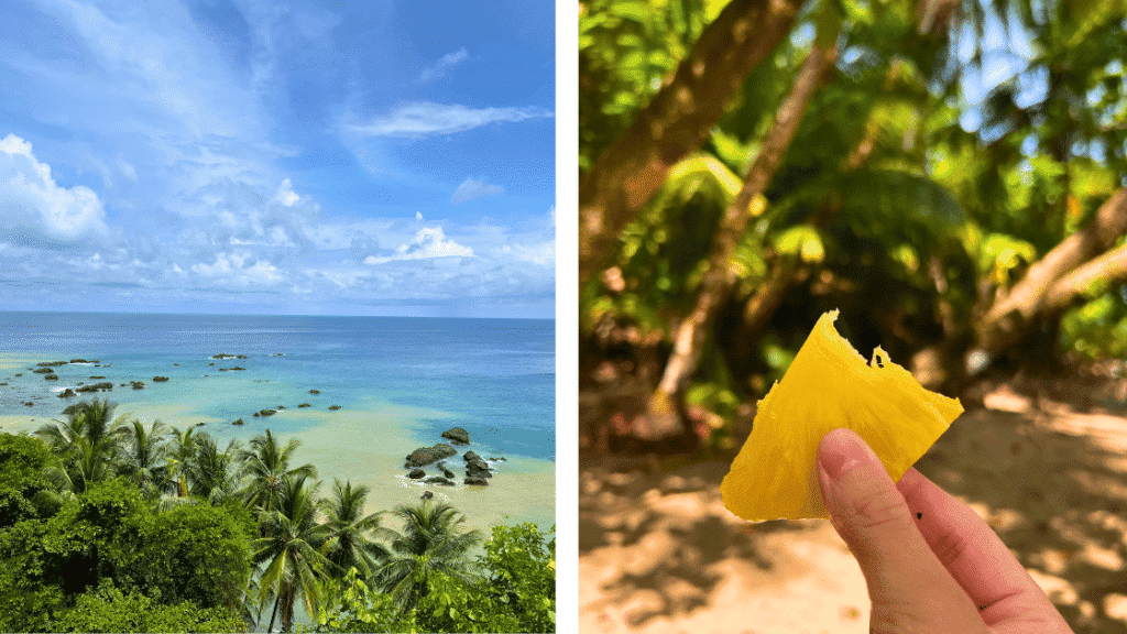 Plongée à Isla del Caño : mon incroyable excursion depuis Drake Bay