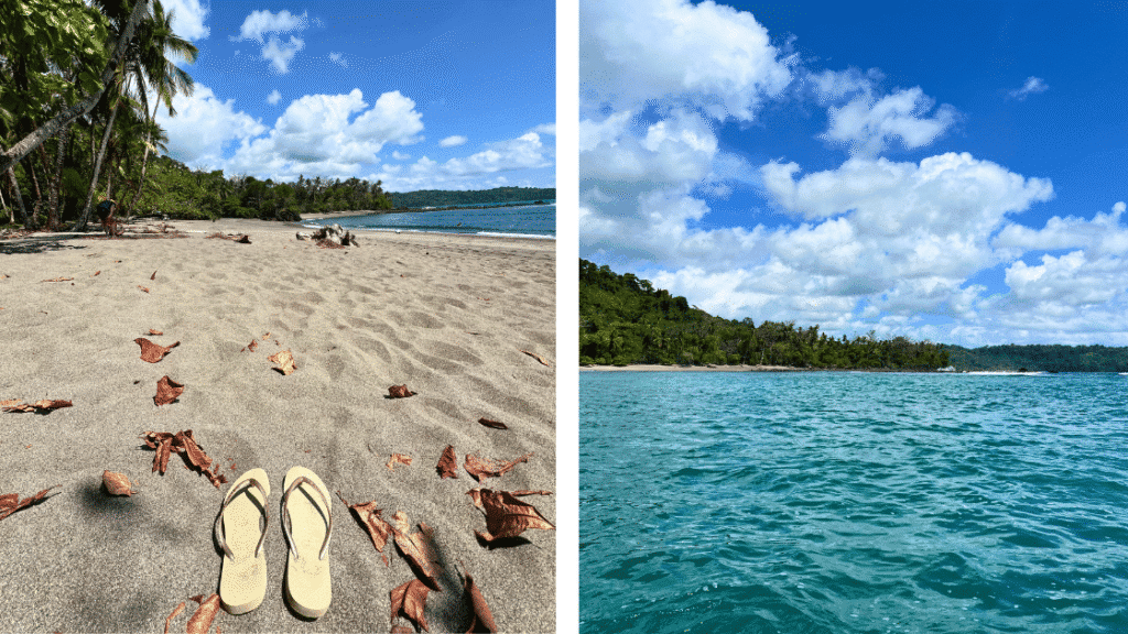 Plongée à Isla del Caño : mon incroyable excursion depuis Drake Bay