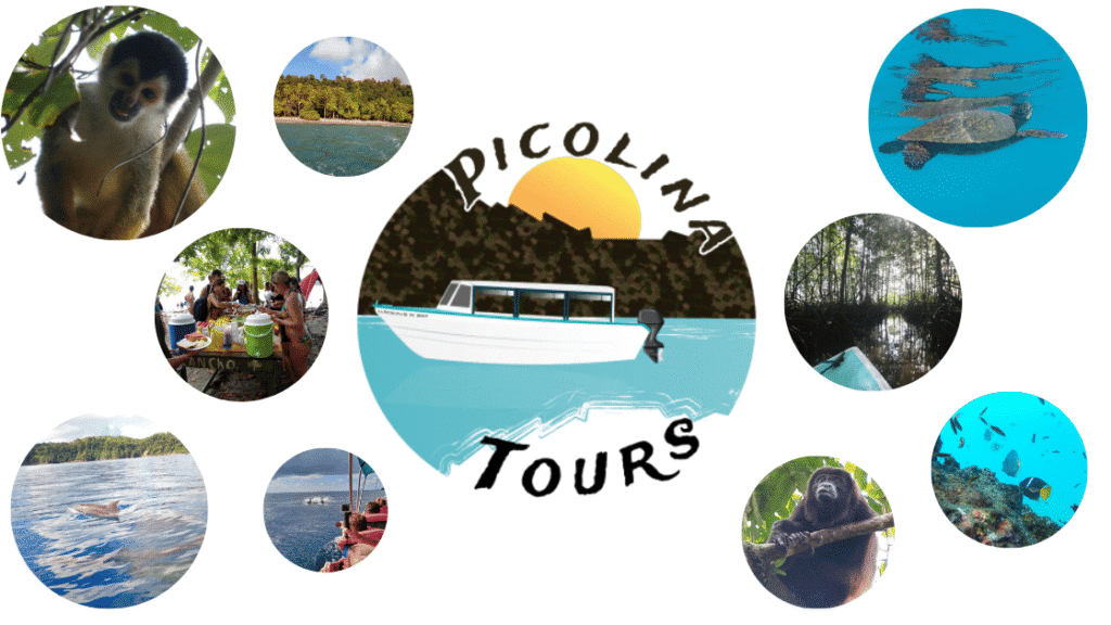 Plongée à Isla del Caño : mon incroyable excursion depuis Drake Bay