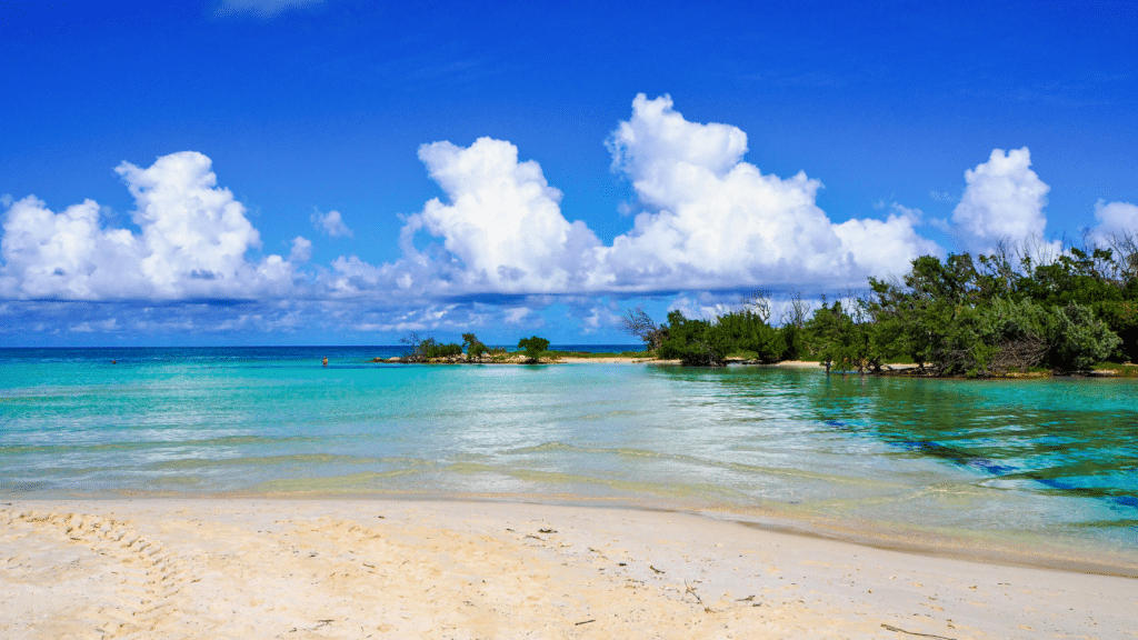 Playa del Coco : Guide complet pour un séjour entre détente et aventures