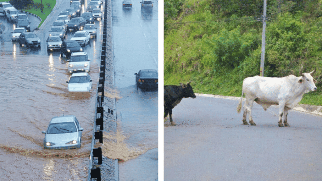 Conduire au Costa Rica : comprendre les règles de priorité et la signalisation