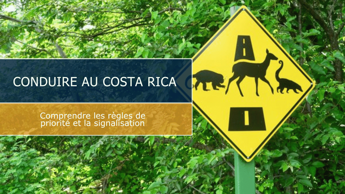 Conduire au Costa Rica : comprendre les règles de priorité et la signalisation